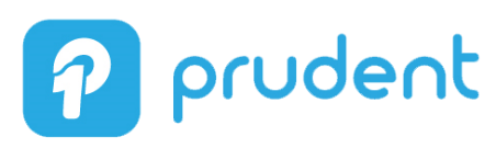 logo Prudent Technologies Private Limited