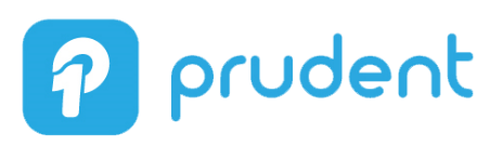 Prudent Technologies Private Limited