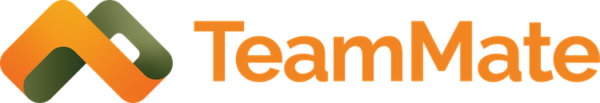 logo TeamMate Technology
